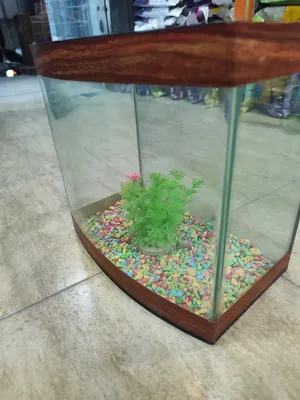 حوض سمك مع فلتر واحجار زينه مجهز بالكامل المقاسات داخل الوصف سماكة 18مل