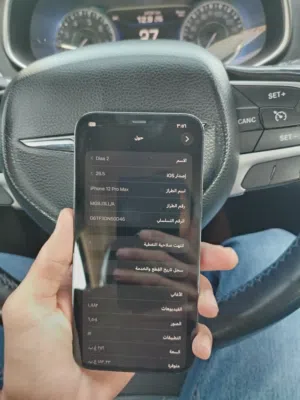 Apple iPhone 12 Pro Max 256 GB in Basra