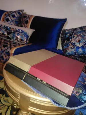 PS4 online  special edition   500 gb avec une manette