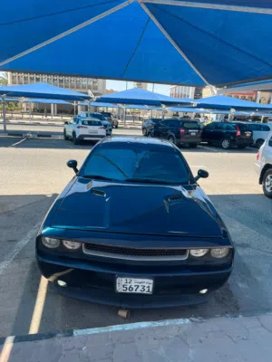 Used Dodge Challenger in Kuwait City
