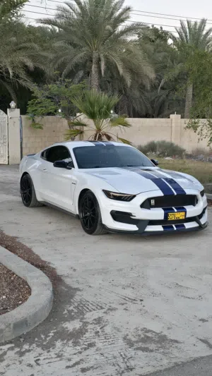 للبيع فقط شلبي 350 اصل. 2016