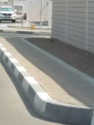 Apartment . United Arab Emirates0