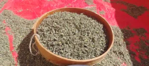 زعتر حار بعل مفروك عالغربال