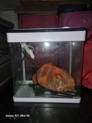 aquarium for sale