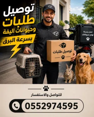 توصيل حيوانات داخل الامارات