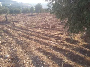 Mixed Use Land for Sale in Jerash Other