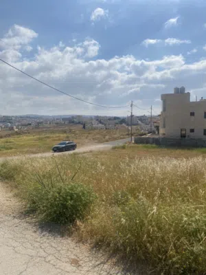 Residential Land for Sale in Amman Shafa Badran