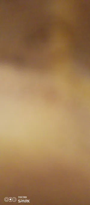 شقه الاستئجار