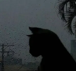 SkyLine 