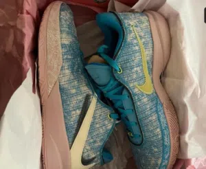 Nike Lebron basketball shoe