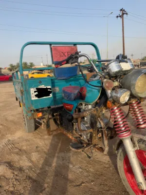 ستوته كربلائيه رقم ابيض مديل 22