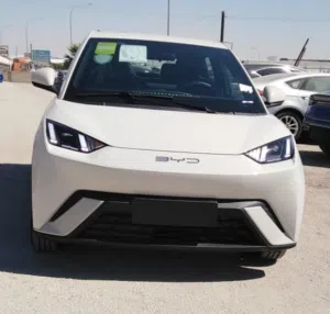 BYD SEAGULL FLYING 2024