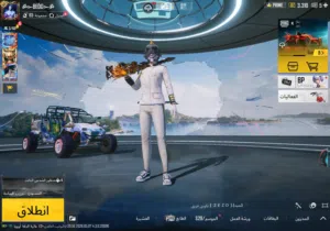 Pubg Accounts and Characters for Sale in Cairo