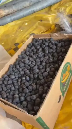 Dates1