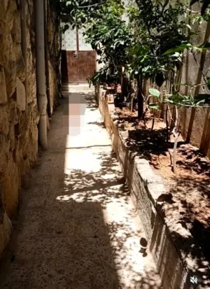 110 m2 2 Bedrooms Apartments for Rent in Zarqa Hay Ramzi
