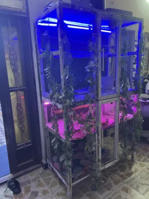 قفص طيور زينه