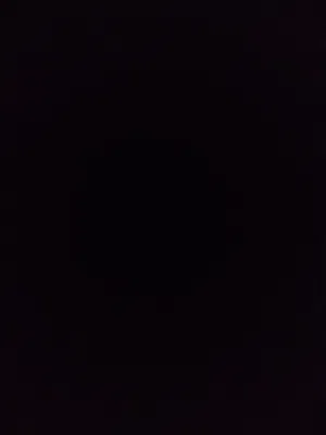 مطلوب انتاج  ببغاء الدره الهندي و كون عمرا صغير