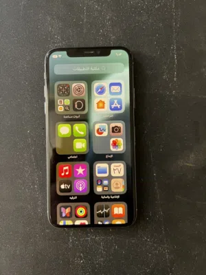 iPhone  xs /64