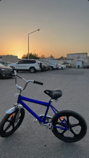 قاري النجمه