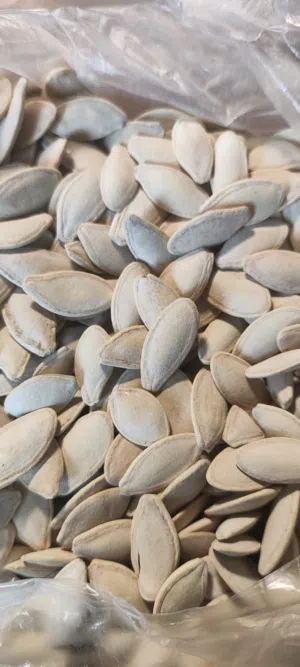 طعام - غذاء - اخرى3