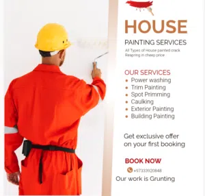 all type of house Villa office paint contact