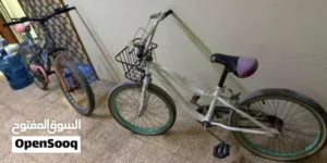 عجل للبيع bike for sale