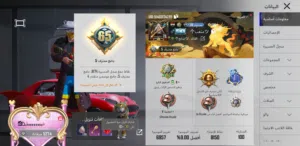 Pubg Accounts and Characters for Sale in Sana'a