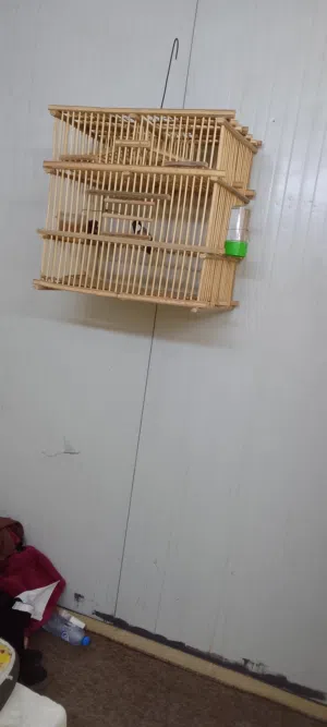 قفص للبيع