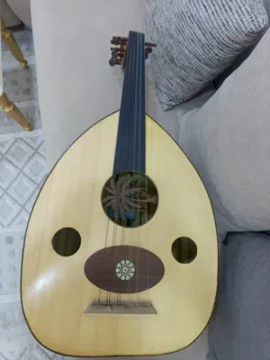 عود عراقي شرقي ممتاز للبيع