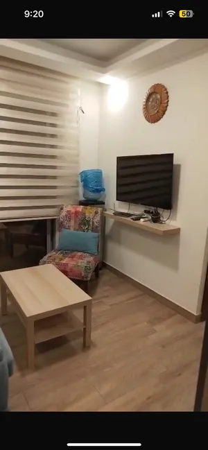 50 m2 Studio Apartments for Rent in Amman University Street