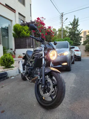 Suzuki SV650 2021 – Low Mileage, Excellent Condition – Amman