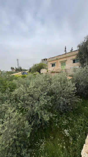 3 Bedrooms . One Bathroom . 120 m24