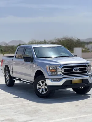 Used Ford F-150 in Dhofar