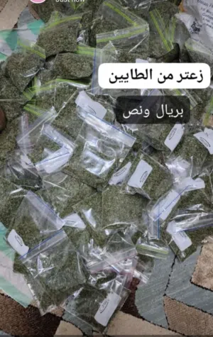 سعتر عماني من الطايين
