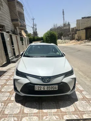 كورلا ساز ياباني2023
