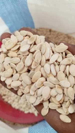 حب بطيخ ( فصفص)