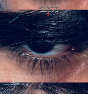 أحمد بن مصبح الراشدي 