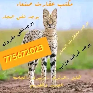 يوجد فتحاااات لليجااار في هائل الدئري ازبيري ارباط