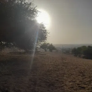 محمد العمري 