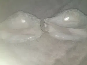 تحف منزلية
