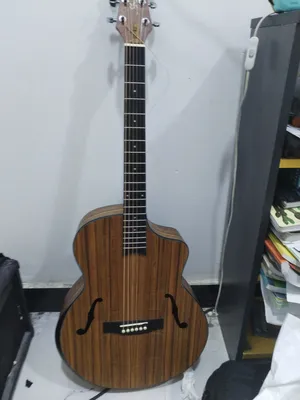Guitars & Oud . New1
