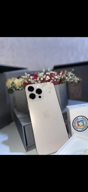 Apple iPhone 16 Pro Max 256 GB in Basra