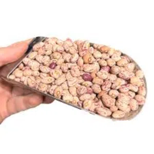 2000 kg،lobra