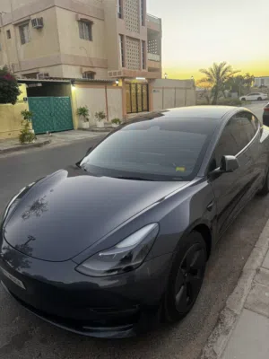 Tesla model 3 standard plus 2023