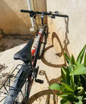 دراجه ربي يبارك