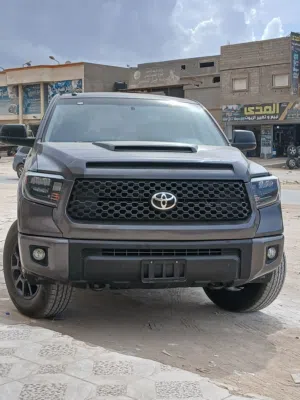 معاذ محمد البركي 