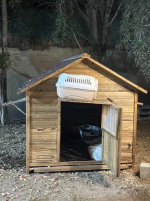 بيت كلاب يدوي بتصميم راقي      Luxury Wooden Dog House