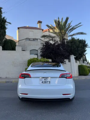 Tesla Model 3 Standard Range + 2021