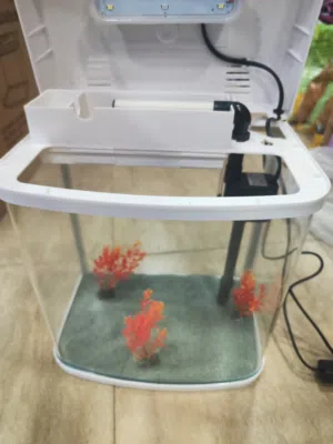 حوض سمك مستورد كيرف انارة لد و فلتر داخلي الطول 33سم العمق 20 سم ارتفاع 36 سم