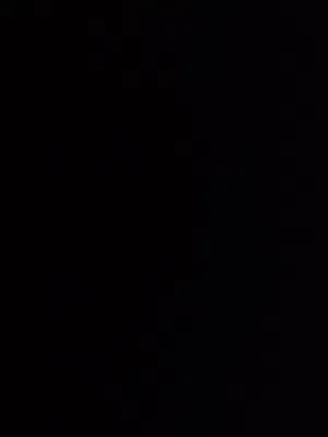 دجاج بلدي وفيومي بياض عدد 28 طير